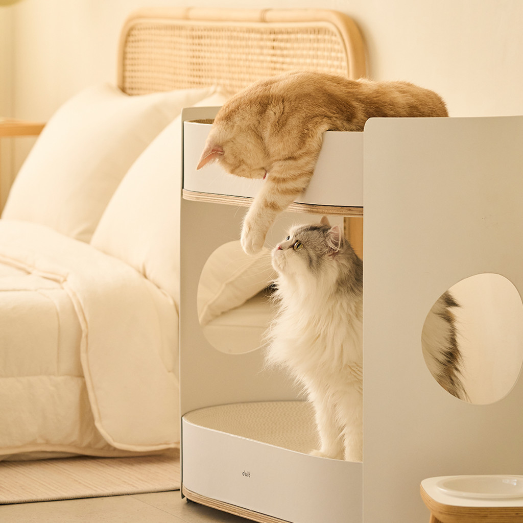 duit all day rack [Pre order]