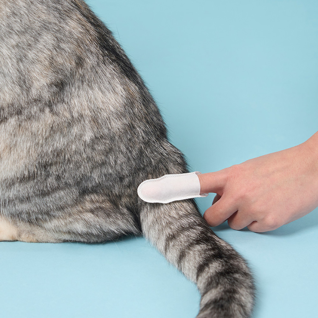 duit black chin cleaner