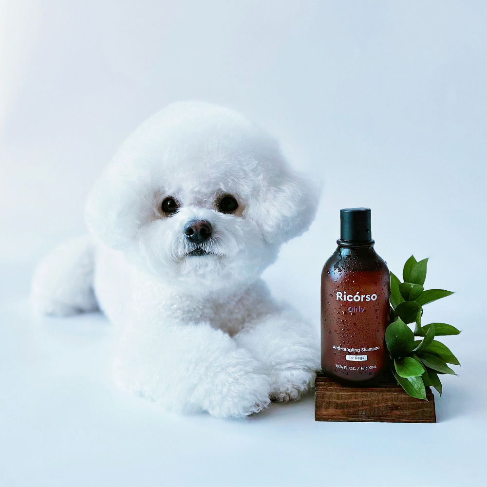 Airly Anti-Tangling Shampoo