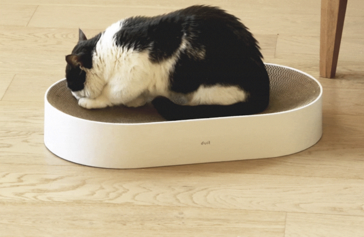 [Pre-order] duit all day board