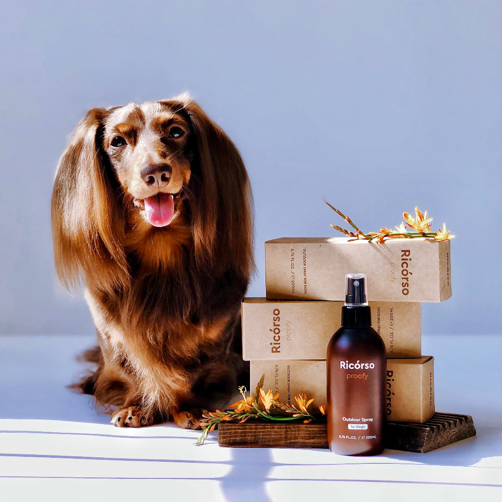 Proofy Outdoor Spray