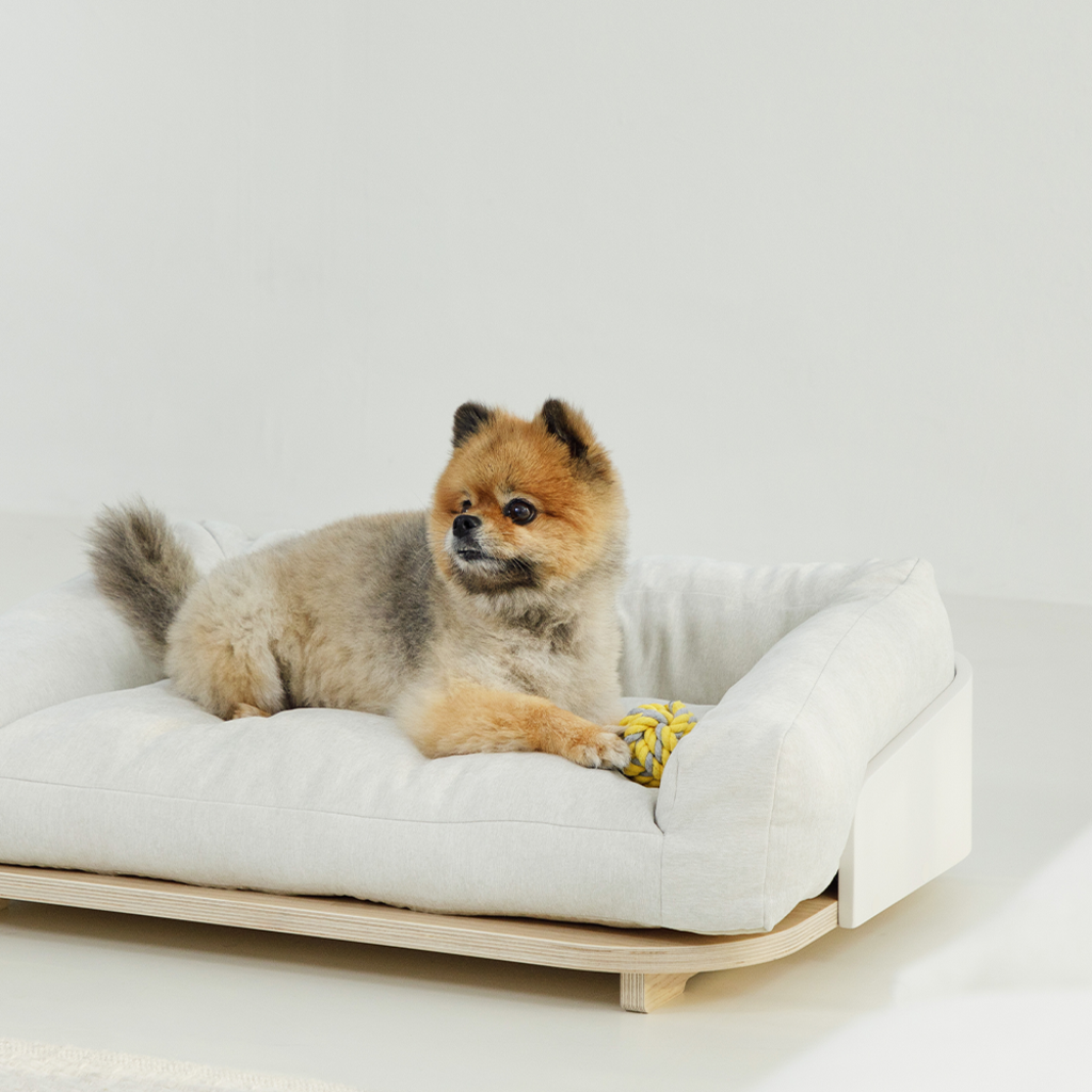 noop noop cushion in bed (frame+cushion set)