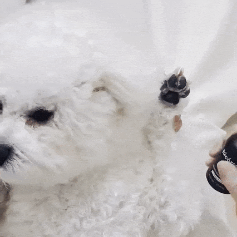 Velvety Moisturizing Essence