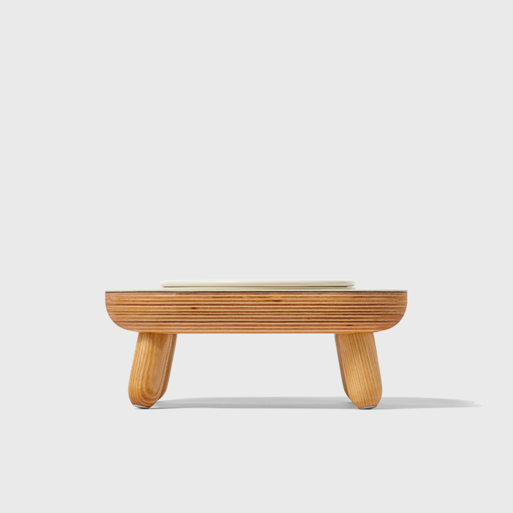 duit daily table mushroom