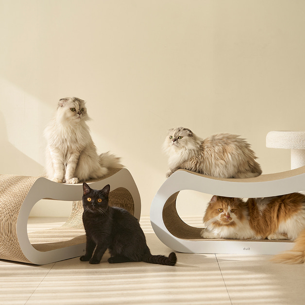 duit Hidden Track Board [Launch pre order]