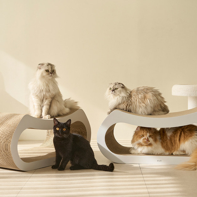 duit Hidden Track Board [Launch pre order]