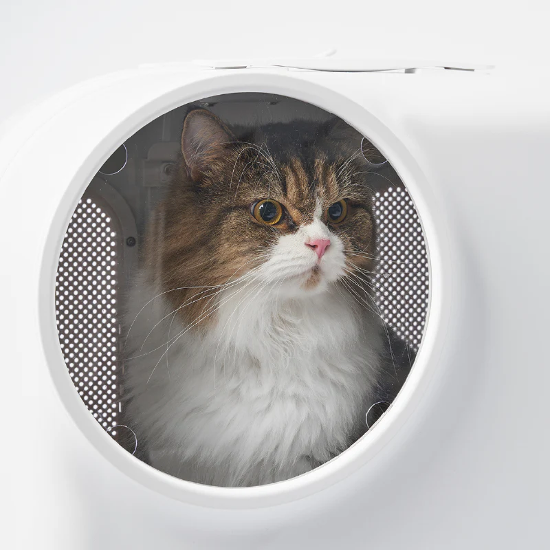 Smart Pet Traveler with LED Lights and Ventilation System
