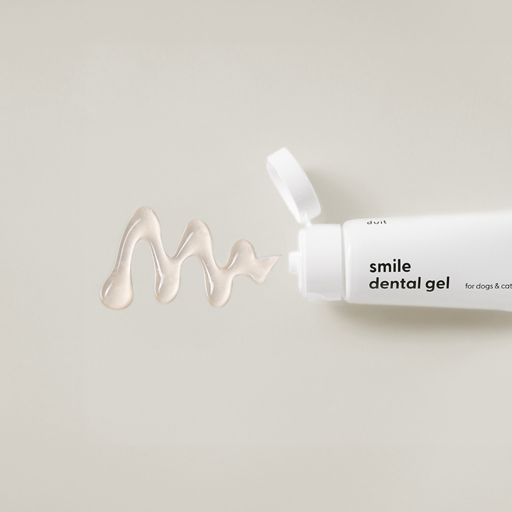 smile dental brush and dental gel