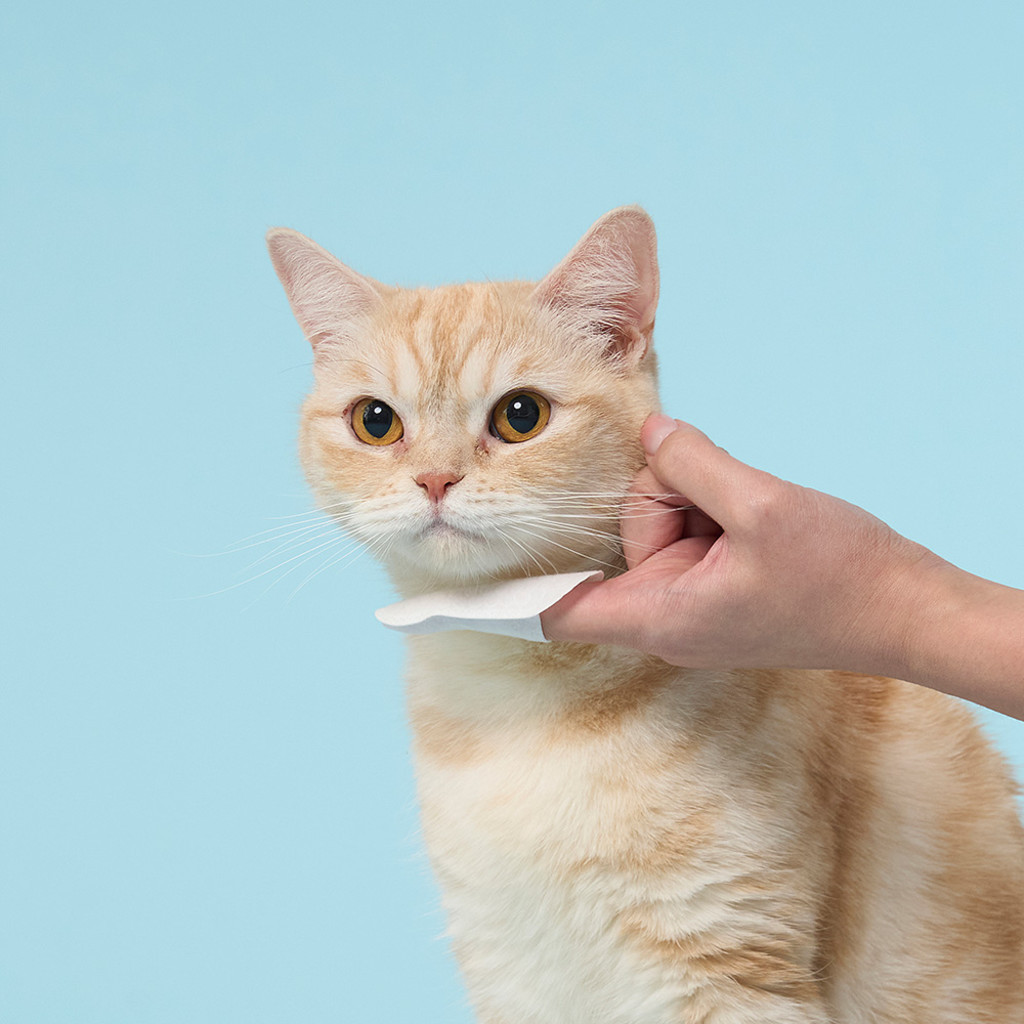 duit black chin cleaner