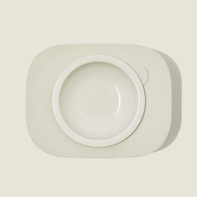 duit daily table mushroom