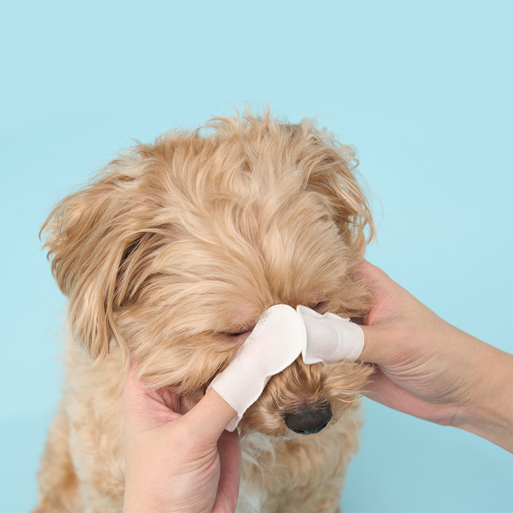 duit clean eye finger tissue