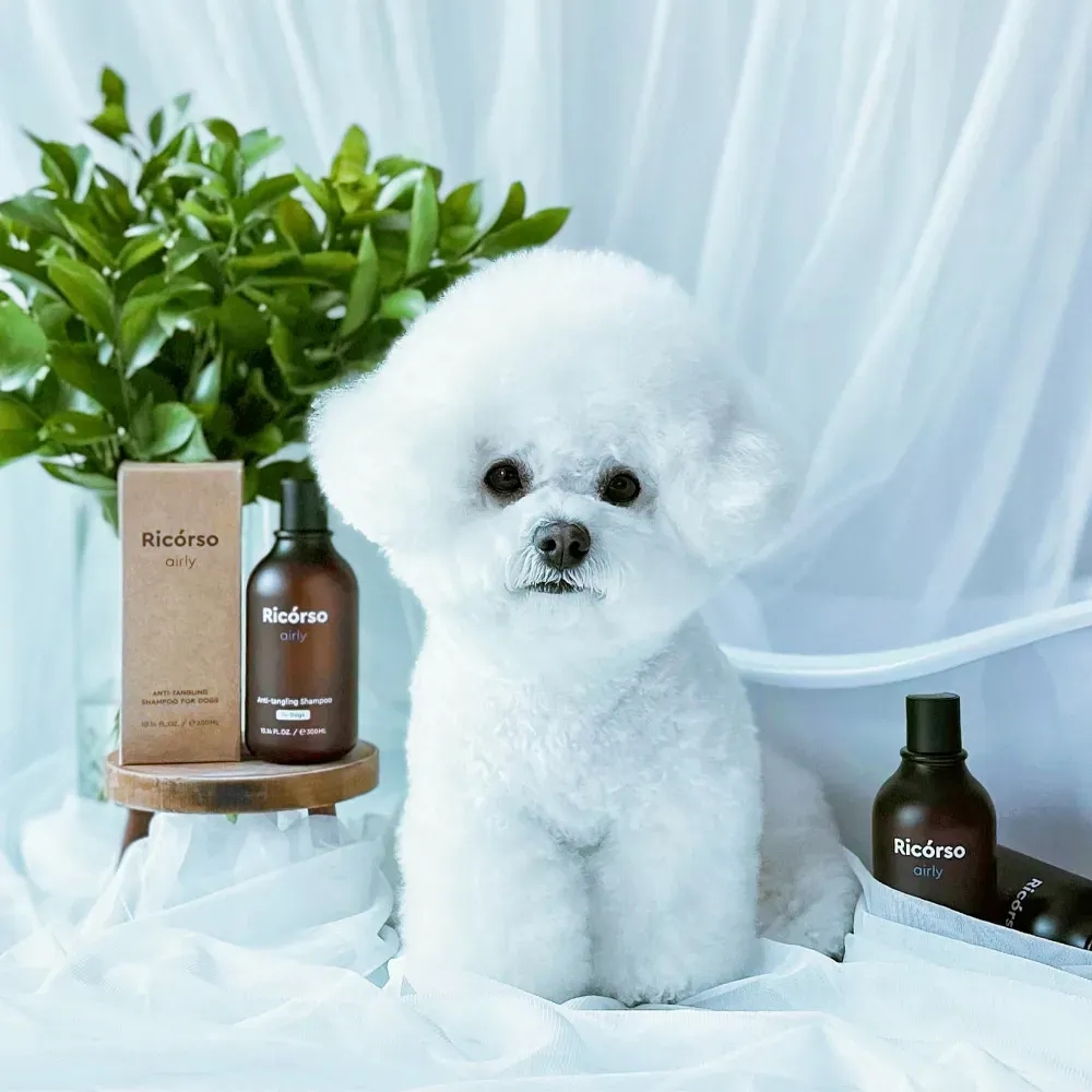 Airly Anti-Tangling Shampoo Trial / Travel Size (30ml)