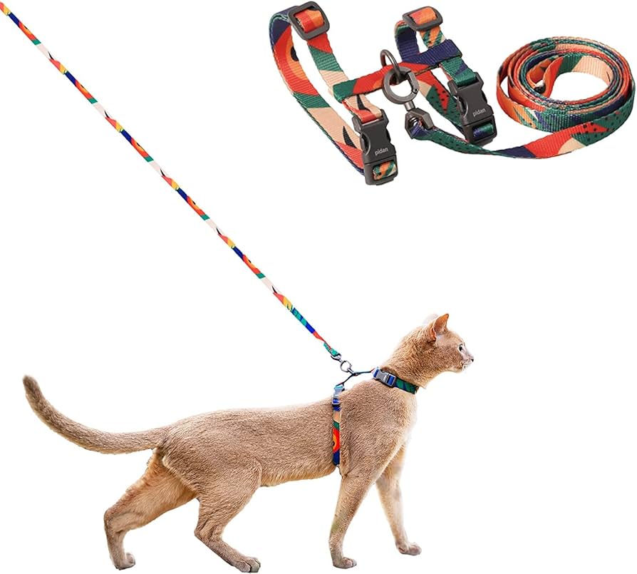 Cat Leash