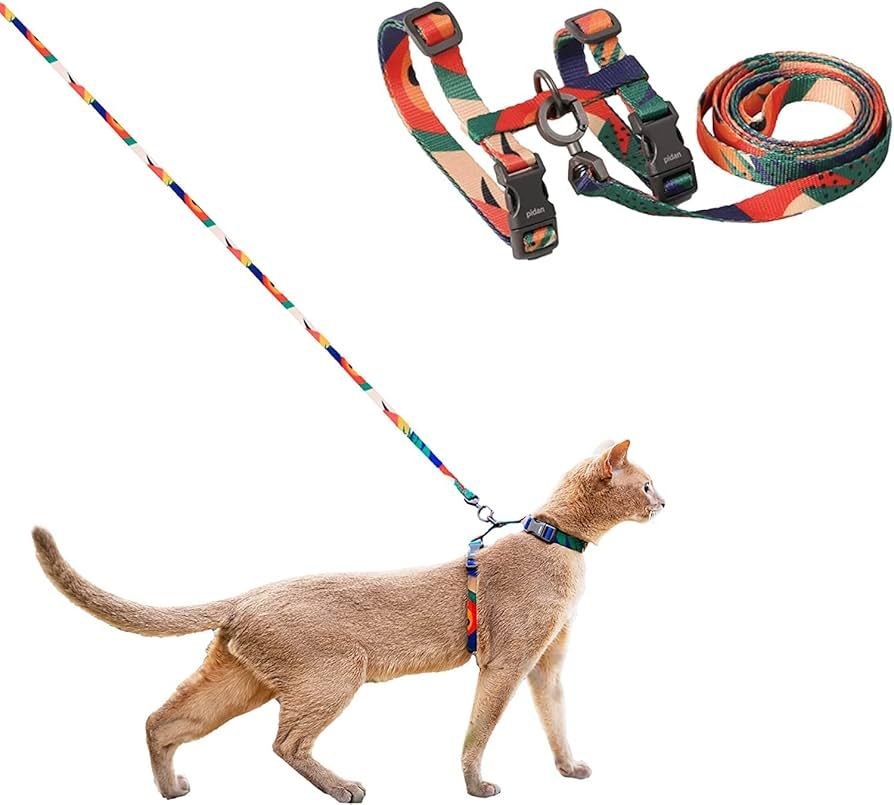 Cat Leash