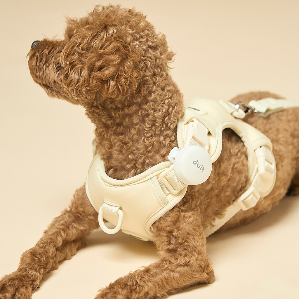 duit bodyfit harness