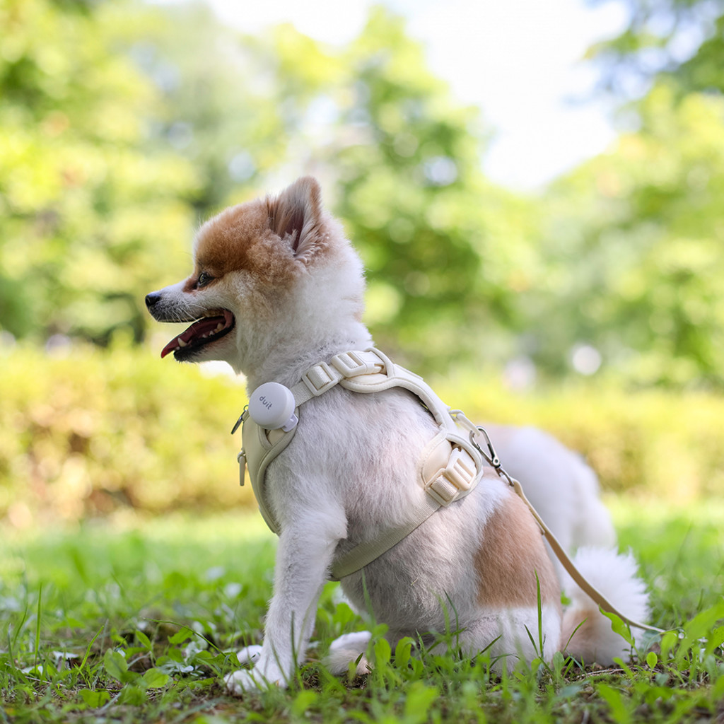 duit bodyfit harness