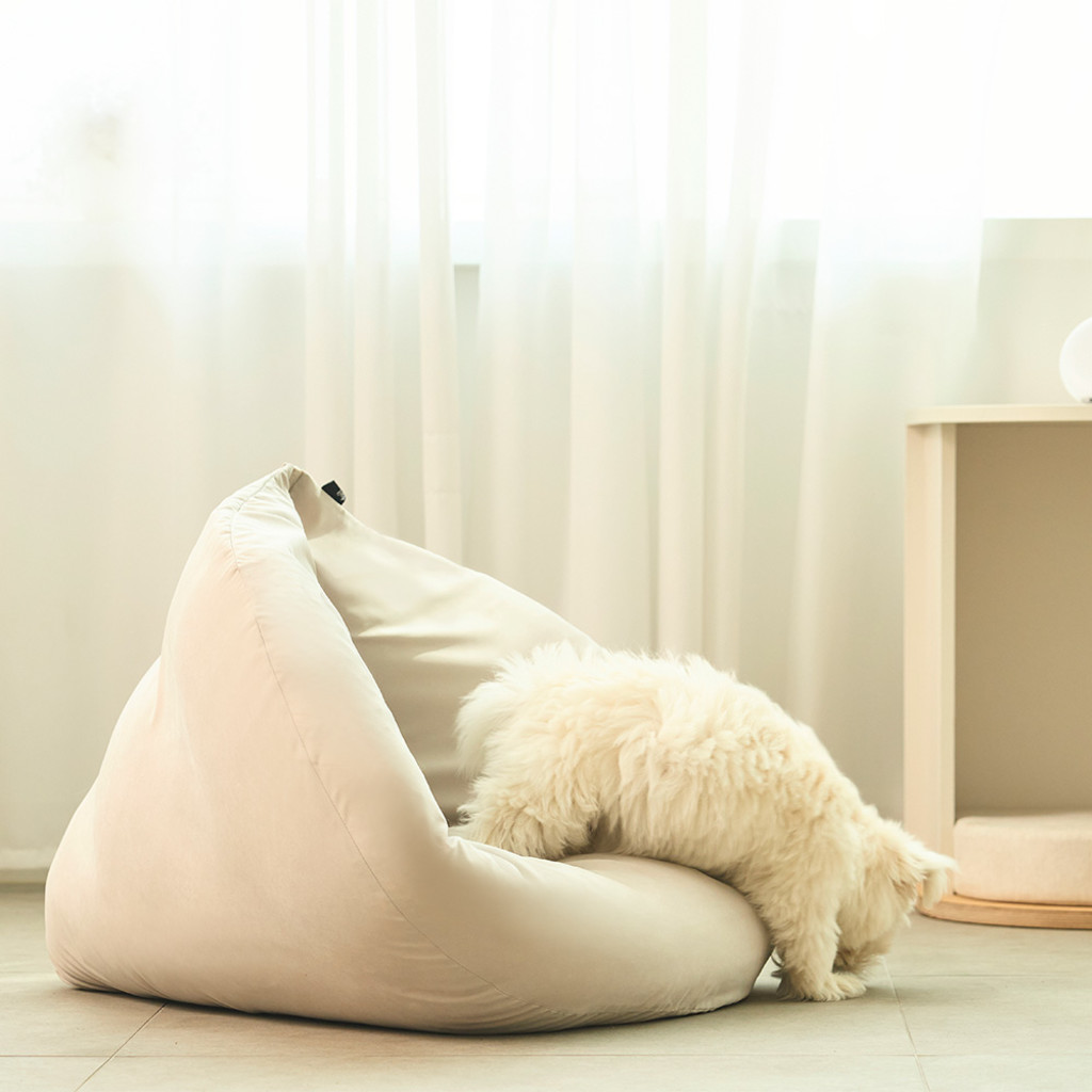 duit dim sum cushion