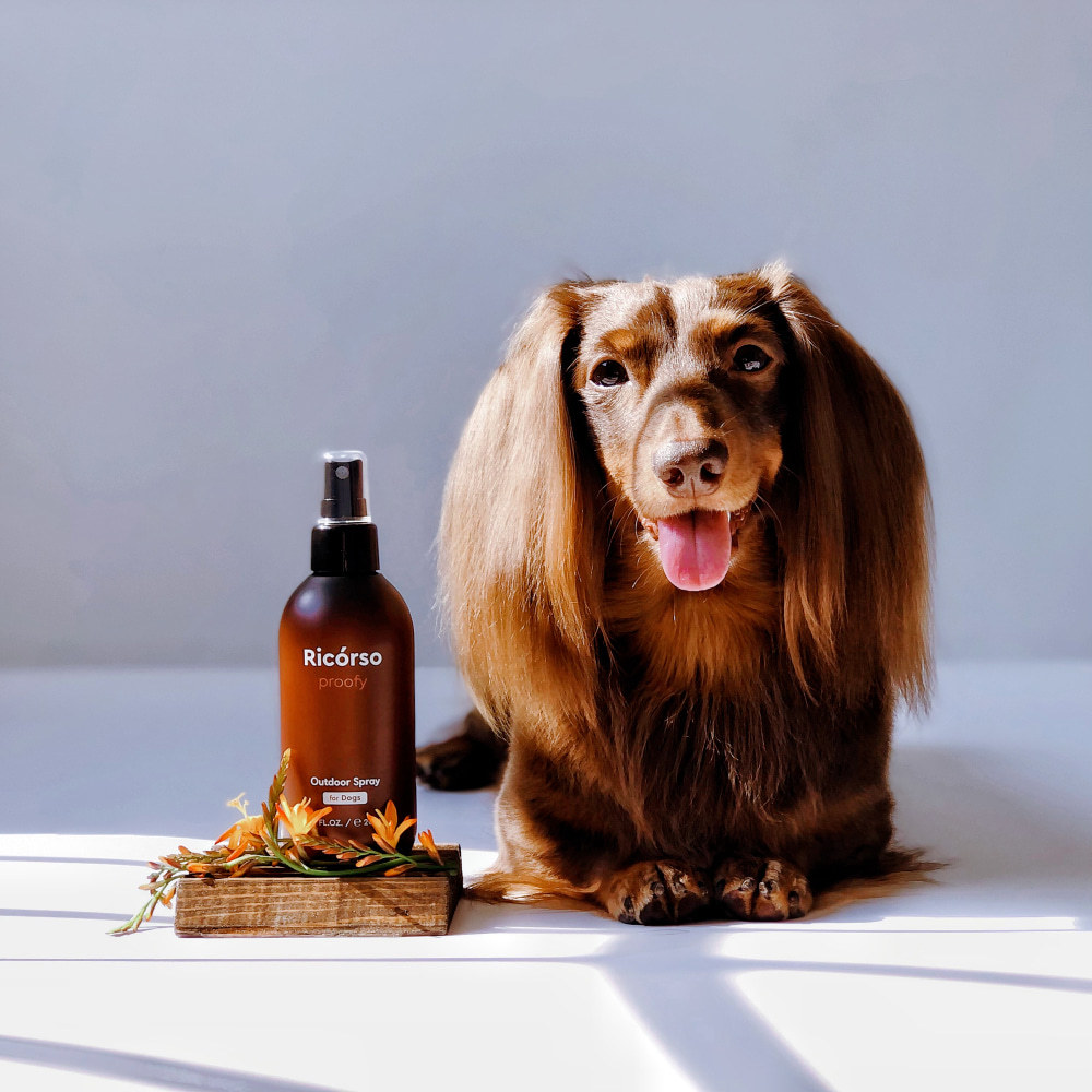 Proofy Outdoor Spray