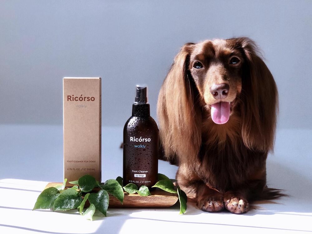 Walkley Waterless Foot Cleaner