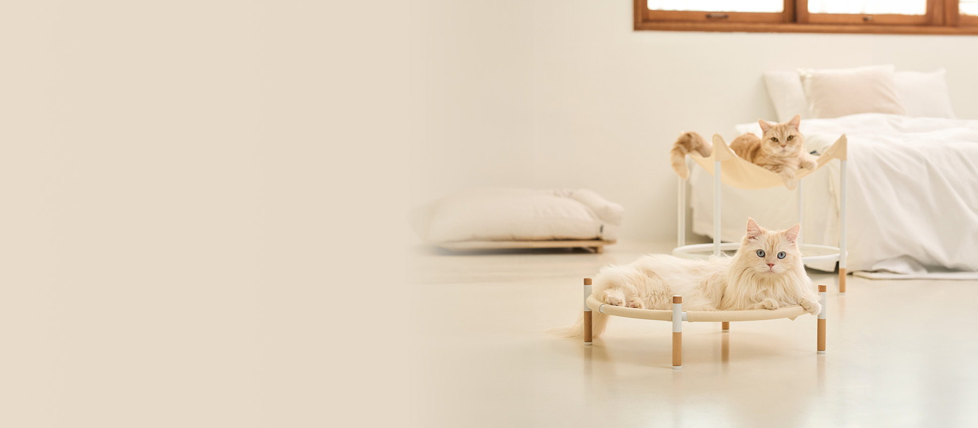 Furniture and Interior