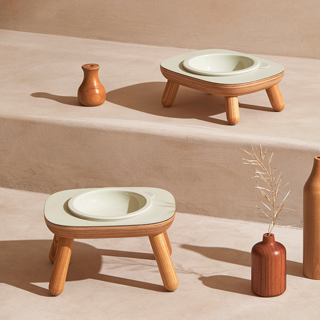 duit daily table mushroom