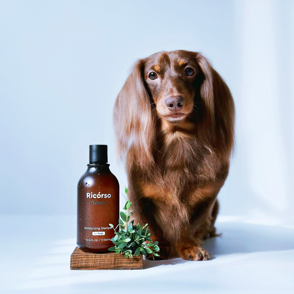 Foresty Moisturizing Shampoo