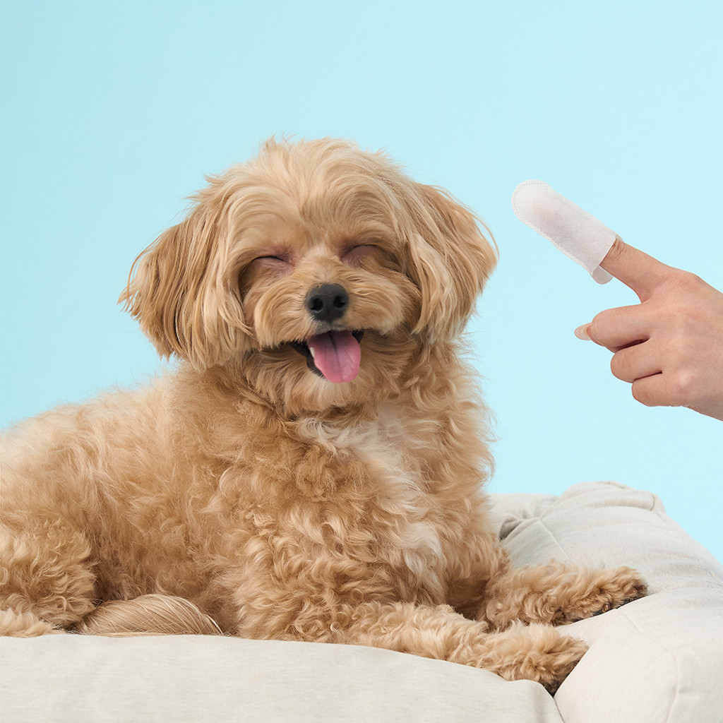 duit clean eye finger tissue