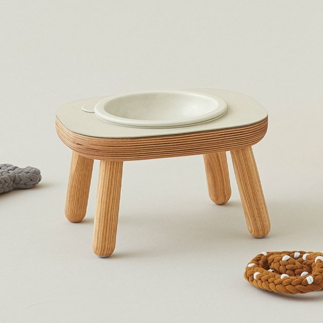 duit daily table mushroom