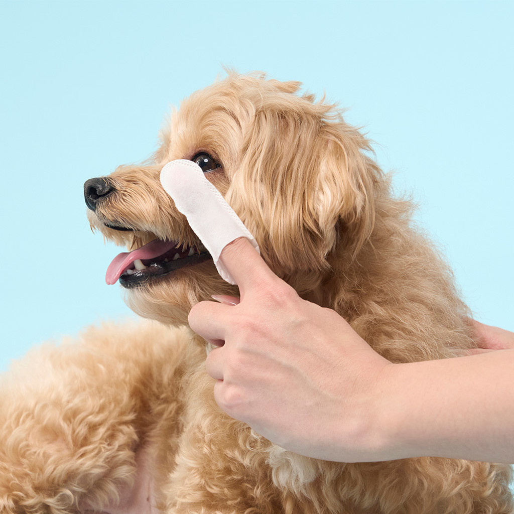 duit clean eye finger tissue