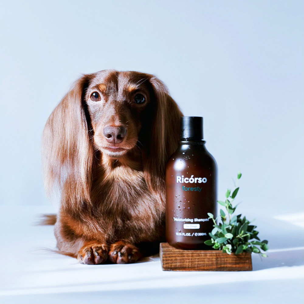 Foresty Moisturizing Shampoo