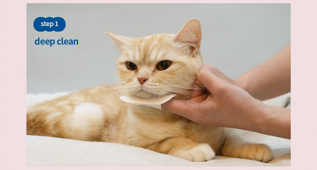 duit black chin cleaner