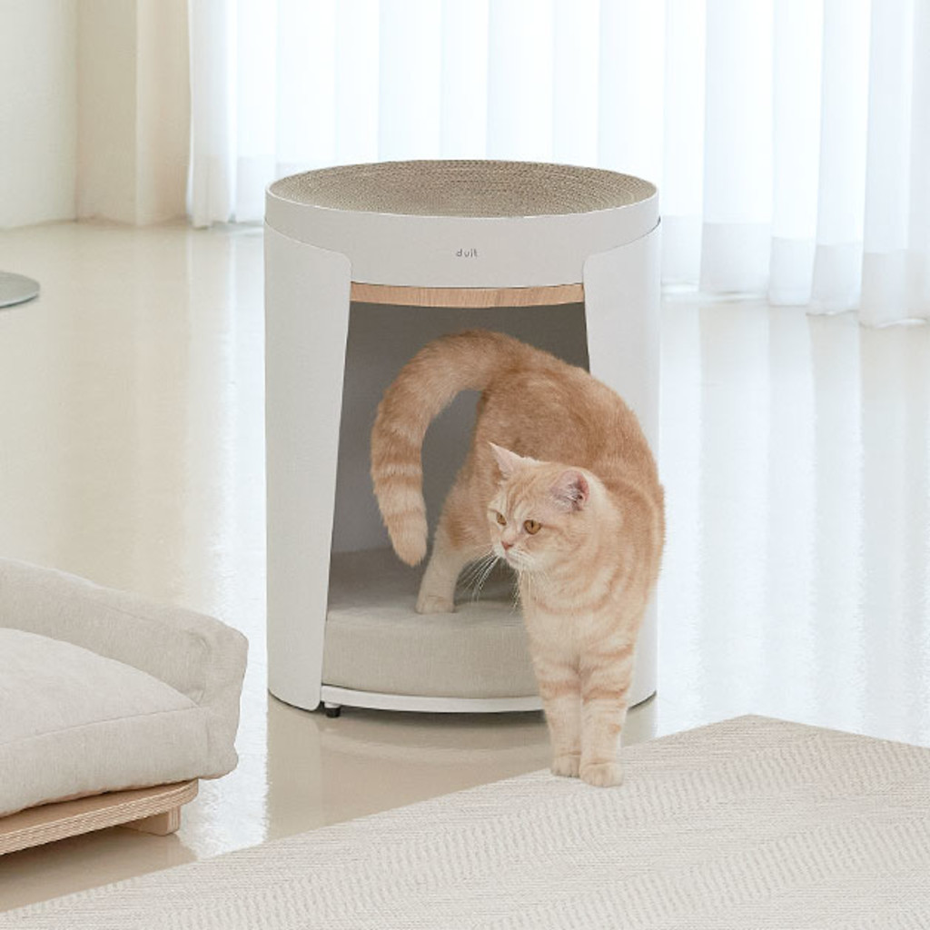 duit round table house