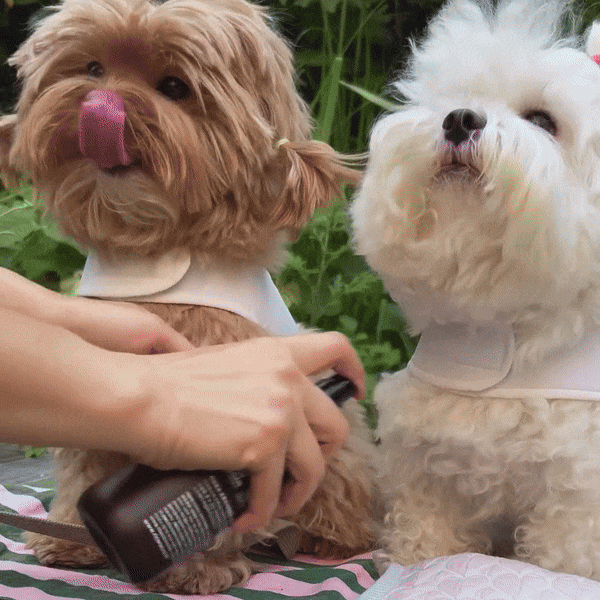 Proofy Outdoor Spray