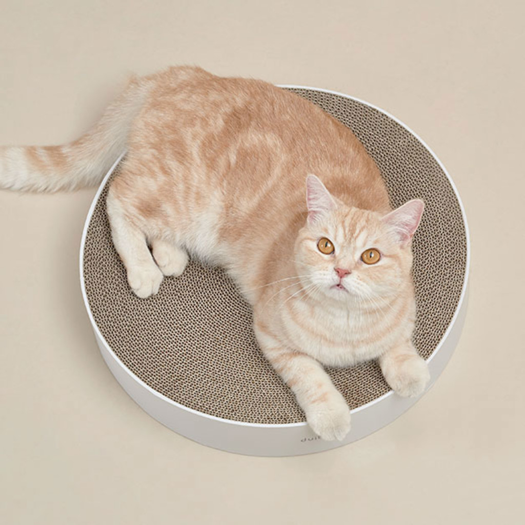 duit round table house