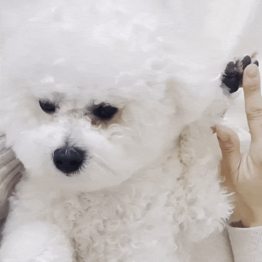 Velvety Moisturizing Essence