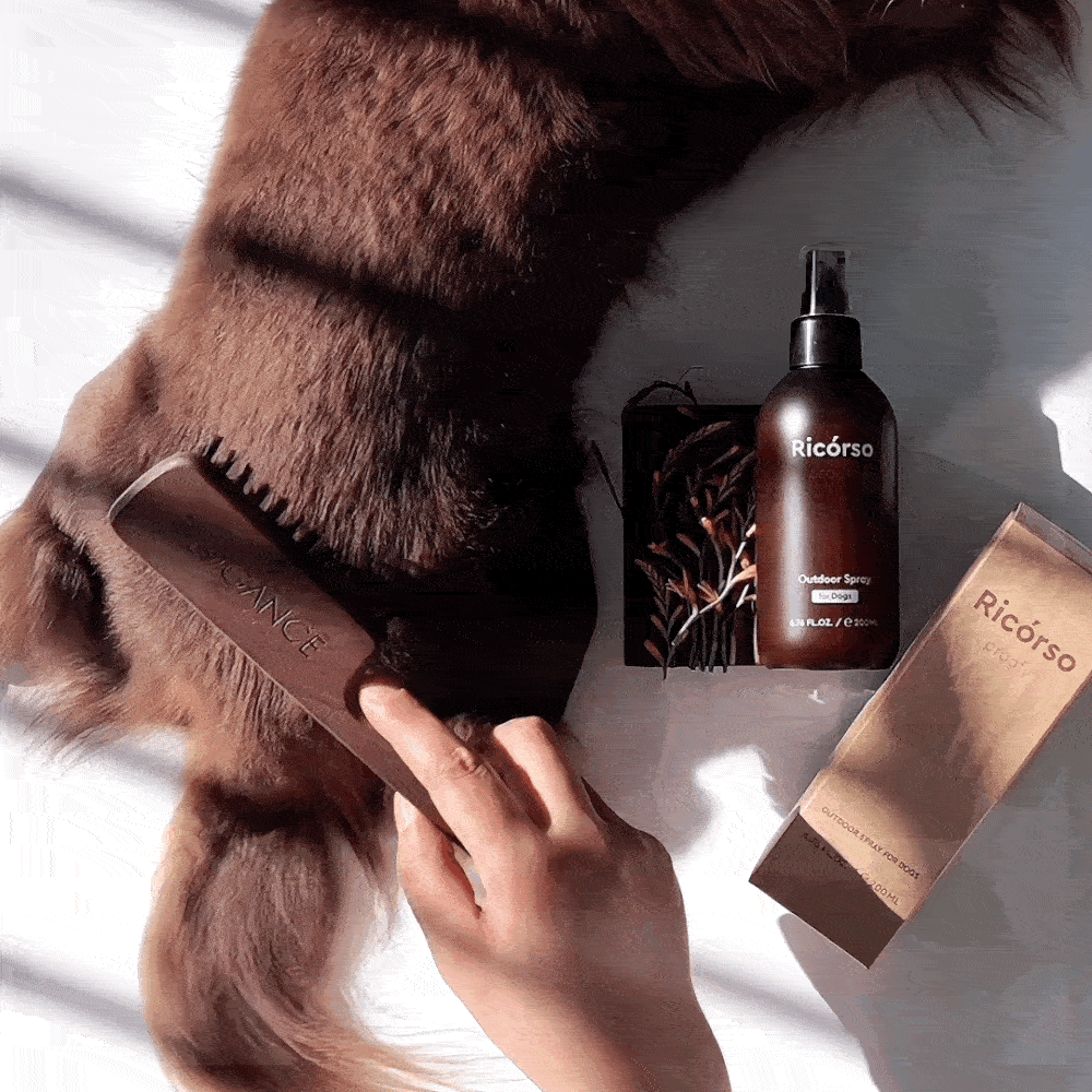 Proofy Outdoor Spray