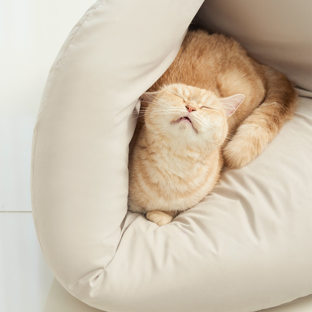 duit dim sum cushion