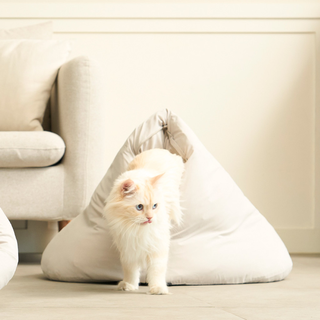 duit dim sum cushion