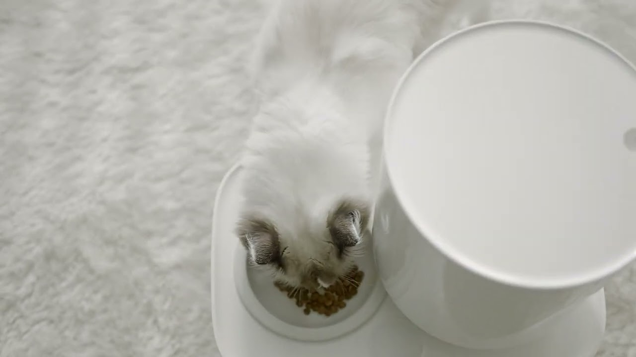 duit the table (white)