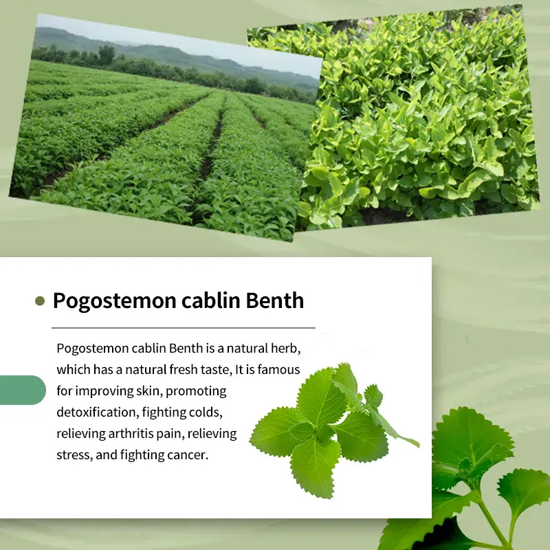 Hot organic plant without hormones to treat hair loss Moisturizes hair and leaves it soft and smooth Conditioner-Guangzhou Jahwa Cosmetics co.,Ltd