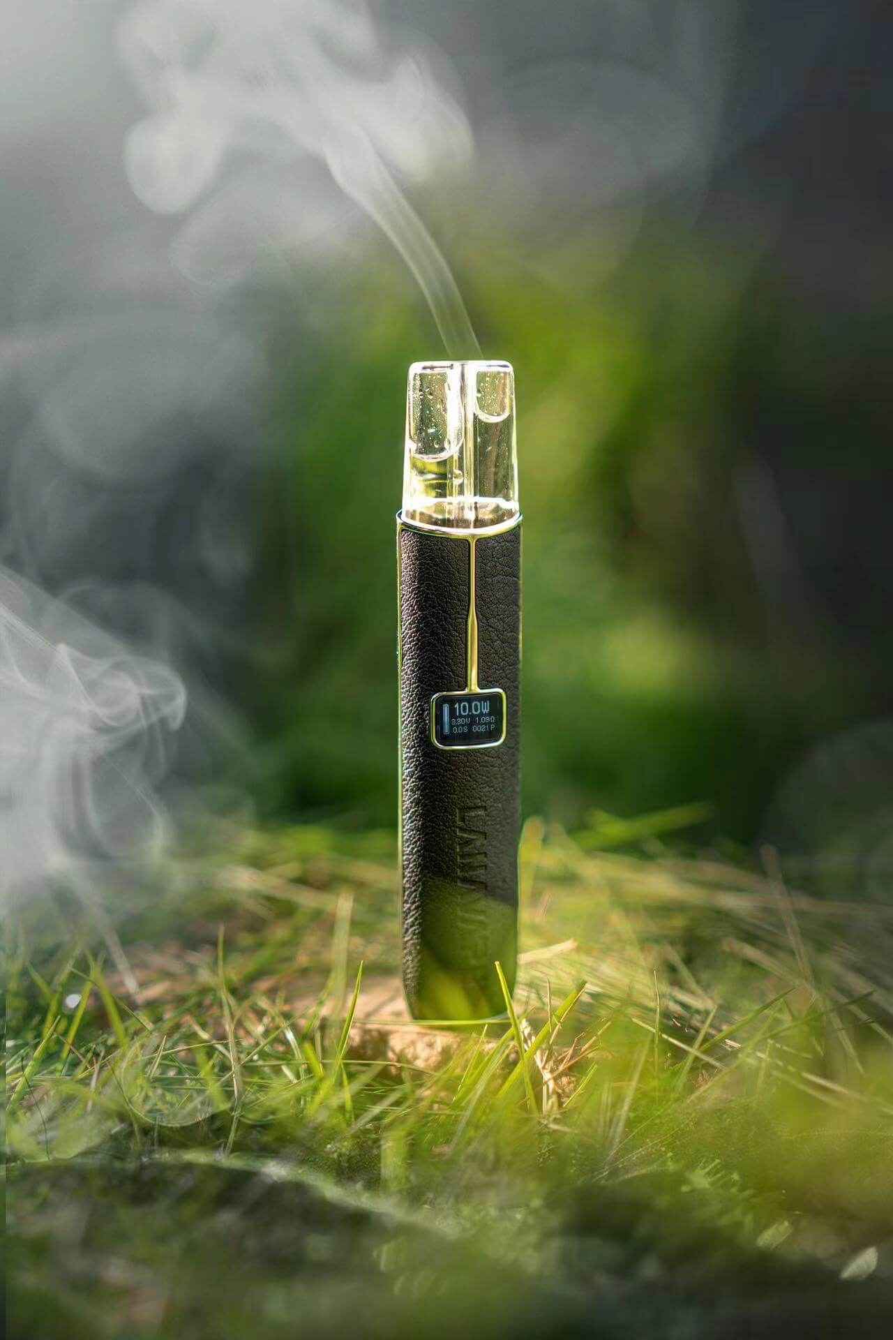 LANA皮革主機 拉納一代電子菸桿