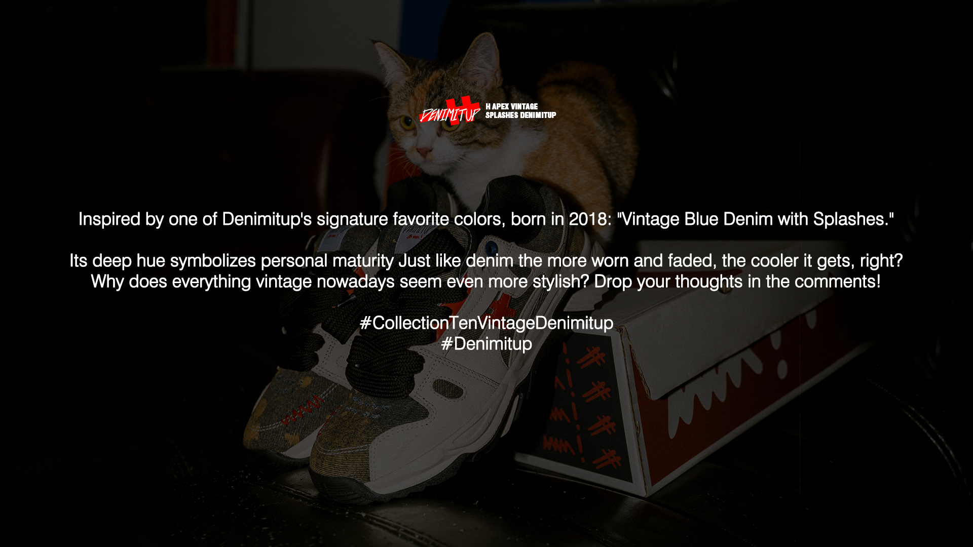 Denimitup International | HAM! Jeansku Denimitup International | HAM! Jeansku