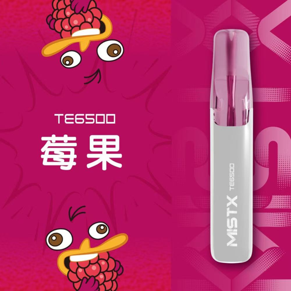 MIST X 鴨嘴獸 6500口拋棄式電子煙/一次性電子煙-台灣現貨