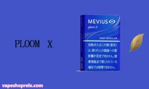 PLOOM 煙彈｜七星加熱煙｜駱駝加熱菸｜Mevius菸彈｜台灣電子煙批發-2
