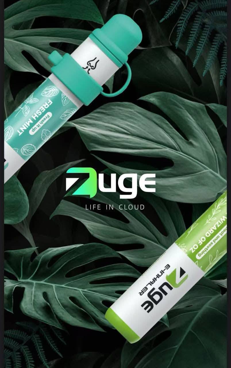 越南品牌 Zuge鼻吸式0丁/無丁電子菸拋棄式 無尼古丁-台灣現貨