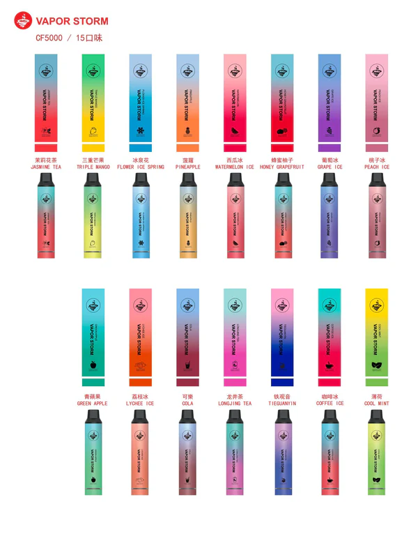 VAPOR STORM 風暴拋棄式CF5000  飛霧5000口一次性