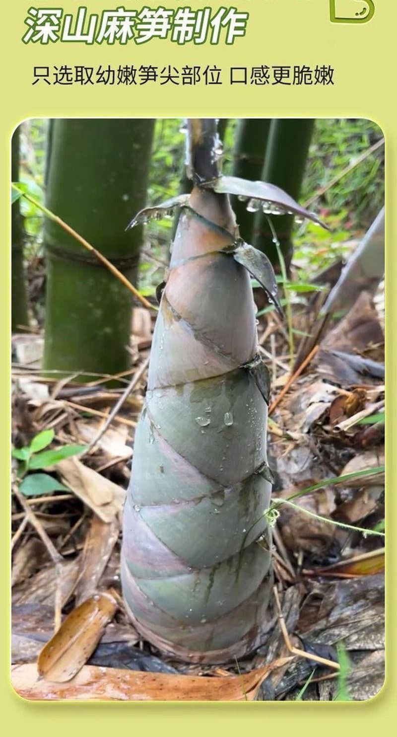 霸王嫩筍尖 抖雷78g 山椒脆筍開袋即食 酸辣