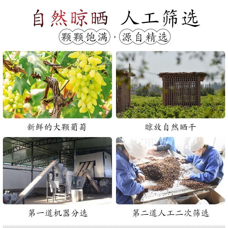 憨豆熊彩色葡萄乾500g 罐裝即食 無添加混合水果乾 蜜餞休閒零食