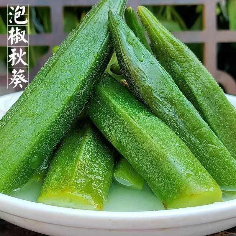 泡椒秋葵 網紅小吃 酸辣爽口 涼拌秋葵開袋即食
