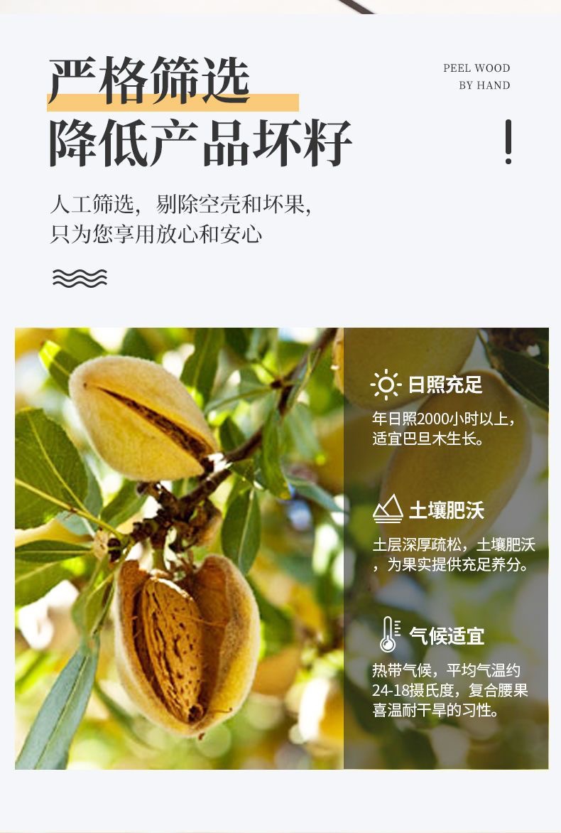 憨豆熊新貨巴旦木500g 大罐裝奶油味 薄皮扁桃杏仁堅果炒貨批發250g